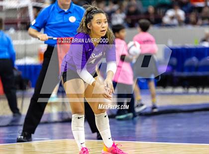 Thumbnail 2 in Pine Creek vs. Denver South (CHSAA 5A First Round) photogallery.