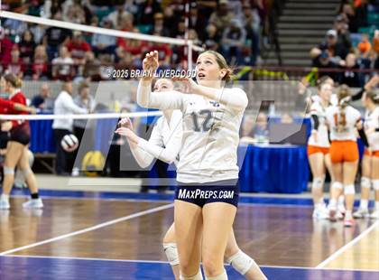Thumbnail 3 in Pine Creek vs. Denver South (CHSAA 5A First Round) photogallery.
