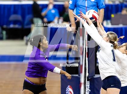 Thumbnail 1 in Pine Creek vs. Denver South (CHSAA 5A First Round) photogallery.