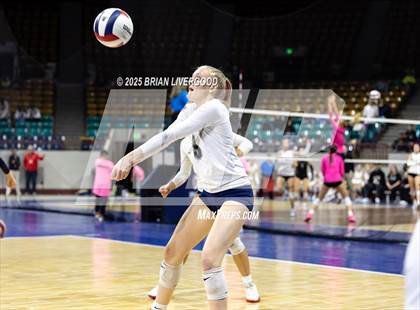 Thumbnail 3 in Pine Creek vs. Denver South (CHSAA 5A First Round) photogallery.