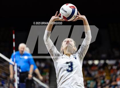 Thumbnail 1 in Pine Creek vs. Denver South (CHSAA 5A First Round) photogallery.