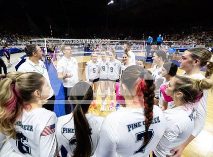 Thumbnail 1 in Pine Creek vs. Denver South (CHSAA 5A First Round) photogallery.