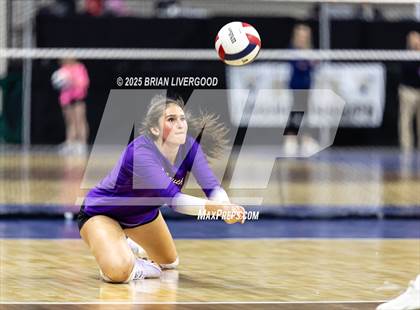 Thumbnail 1 in Pine Creek vs. Denver South (CHSAA 5A First Round) photogallery.