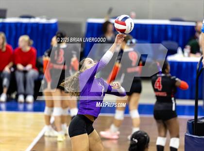 Thumbnail 1 in Pine Creek vs. Denver South (CHSAA 5A First Round) photogallery.