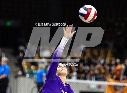 Thumbnail 1 in Pine Creek vs. Denver South (CHSAA 5A First Round) photogallery.