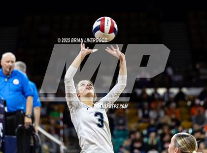 Thumbnail 1 in Pine Creek vs. Denver South (CHSAA 5A First Round) photogallery.