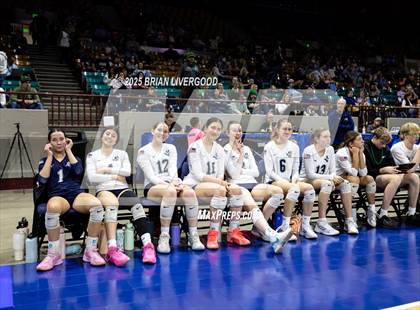 Thumbnail 3 in Pine Creek vs. Denver South (CHSAA 5A First Round) photogallery.