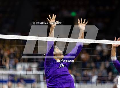 Thumbnail 3 in Pine Creek vs. Denver South (CHSAA 5A First Round) photogallery.