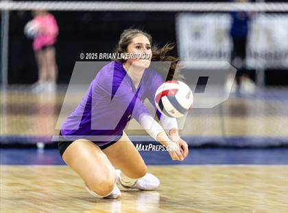 Thumbnail 2 in Pine Creek vs. Denver South (CHSAA 5A First Round) photogallery.