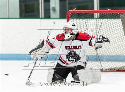 Thumbnail 3 in Needham @ Wellesley photogallery.