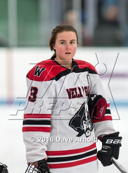 Thumbnail 2 in Needham @ Wellesley photogallery.