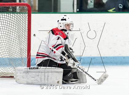 Thumbnail 3 in Needham @ Wellesley photogallery.