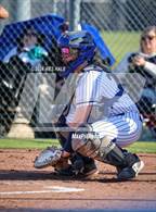 Photo from the gallery "Collierville @ Arlington"