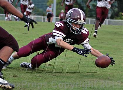 Thumbnail 1 in Fulton @ Bearden photogallery.