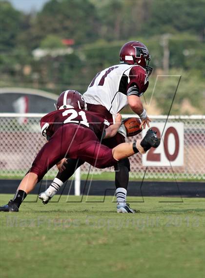 Thumbnail 2 in Fulton @ Bearden photogallery.