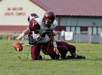 Thumbnail 2 in Fulton @ Bearden photogallery.