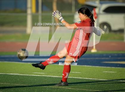 Thumbnail 3 in Hoover @ Muir photogallery.