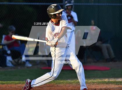 Thumbnail 3 in Wiregrass Ranch @ Pasco photogallery.