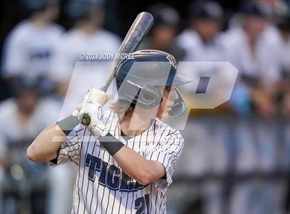 Thumbnail 1 in Tupelo @ Hernando photogallery.