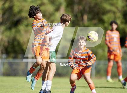 Thumbnail 1 in Fleming Island @ Mandarin photogallery.