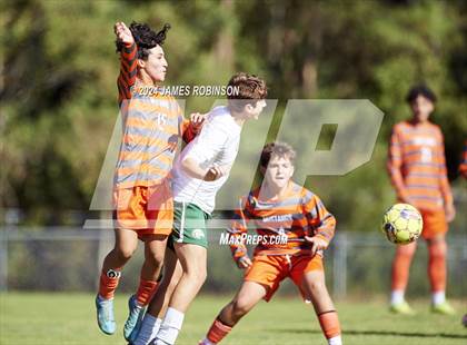 Thumbnail 3 in Fleming Island @ Mandarin photogallery.
