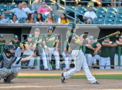 Thumbnail 1 in Pitman vs. Tracy (CIF SJS 2nd Round) photogallery.