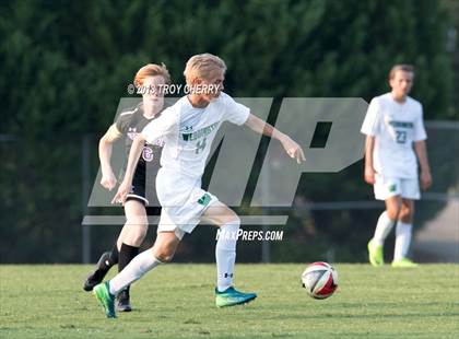 Thumbnail 3 in Ardrey Kell @ Weddington photogallery.