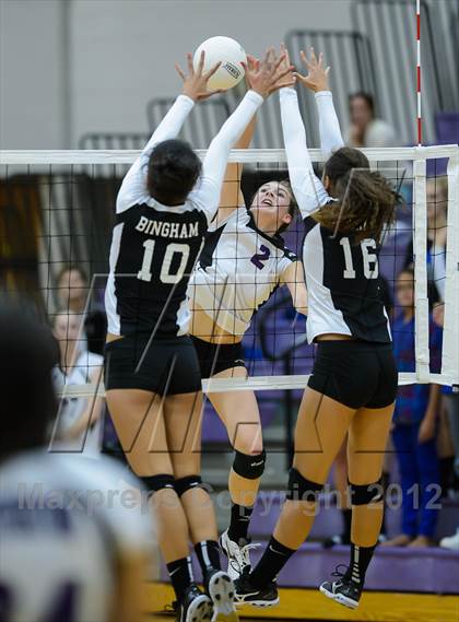 Thumbnail 3 in Bingham @ Riverton photogallery.