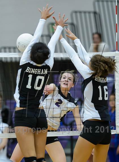 Thumbnail 1 in Bingham @ Riverton photogallery.