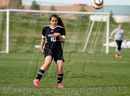 Thumbnail 2 in Pomona @ Ralston Valley photogallery.