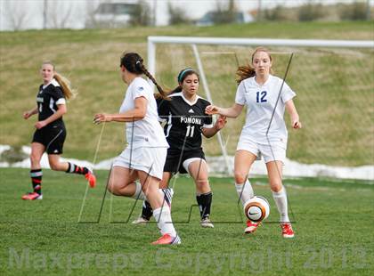 Thumbnail 3 in Pomona @ Ralston Valley photogallery.