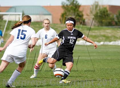 Thumbnail 2 in Pomona @ Ralston Valley photogallery.