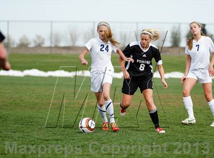 Thumbnail 1 in Pomona @ Ralston Valley photogallery.