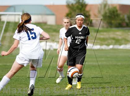 Thumbnail 3 in Pomona @ Ralston Valley photogallery.