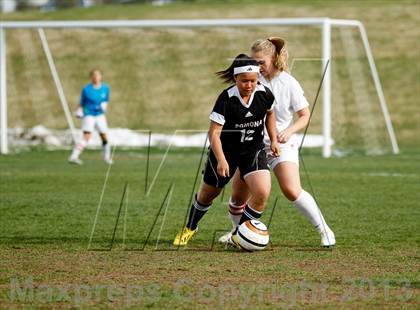 Thumbnail 3 in Pomona @ Ralston Valley photogallery.
