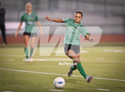 Thumbnail 1 in WF West @ Tumwater photogallery.