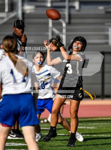 Thumbnail 1 in JV: Charter Oak @ Northview photogallery.