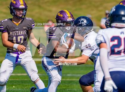 Thumbnail 3 in Plum @ Shaler Area photogallery.