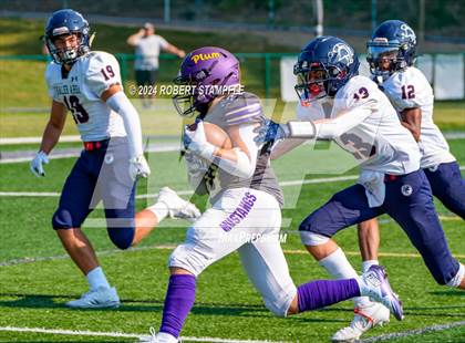 Thumbnail 2 in Plum @ Shaler Area photogallery.