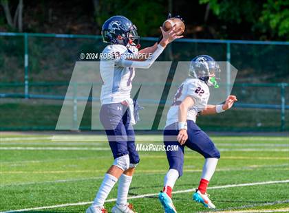 Thumbnail 1 in Plum @ Shaler Area photogallery.