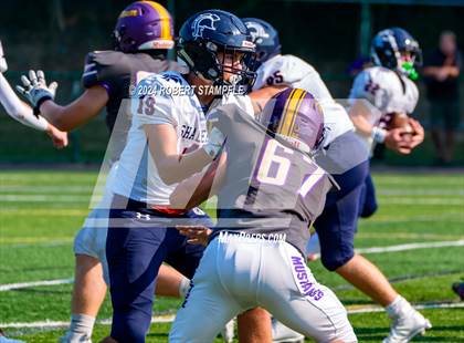 Thumbnail 2 in Plum @ Shaler Area photogallery.