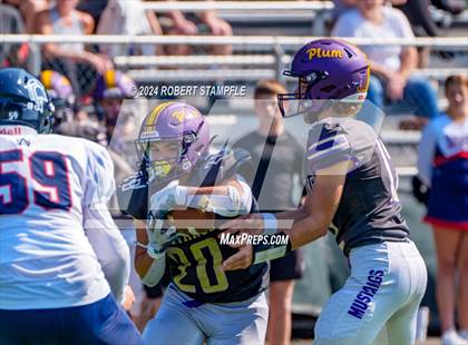Thumbnail 3 in Plum @ Shaler Area photogallery.