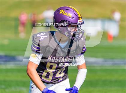 Thumbnail 3 in Plum @ Shaler Area photogallery.