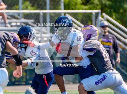 Thumbnail 2 in Plum @ Shaler Area photogallery.
