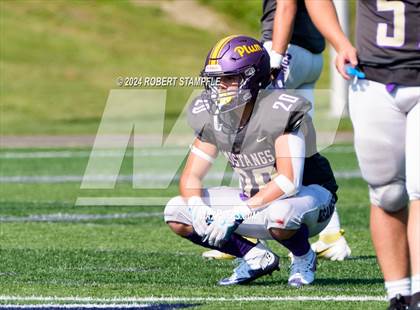 Thumbnail 3 in Plum @ Shaler Area photogallery.