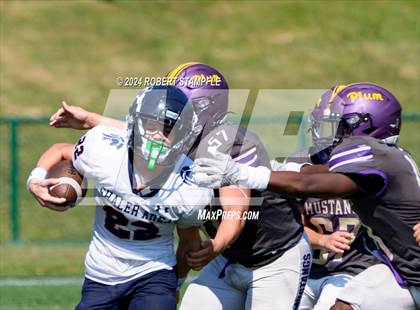 Thumbnail 1 in Plum @ Shaler Area photogallery.
