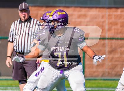 Thumbnail 3 in Plum @ Shaler Area photogallery.