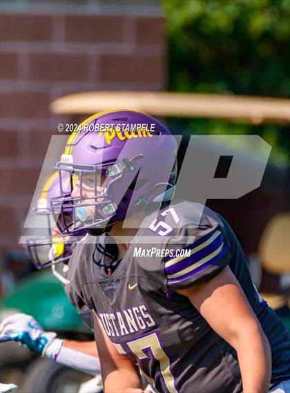 Thumbnail 3 in Plum @ Shaler Area photogallery.