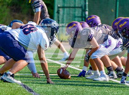 Thumbnail 3 in Plum @ Shaler Area photogallery.