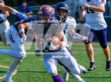 Thumbnail 3 in Plum @ Shaler Area photogallery.